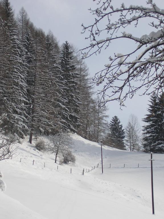 Gasthof Trattner Pension Waldhof Sankt Peter am Kammersberg Екстер'єр фото